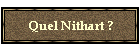 Quel Nithart ?