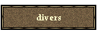 divers